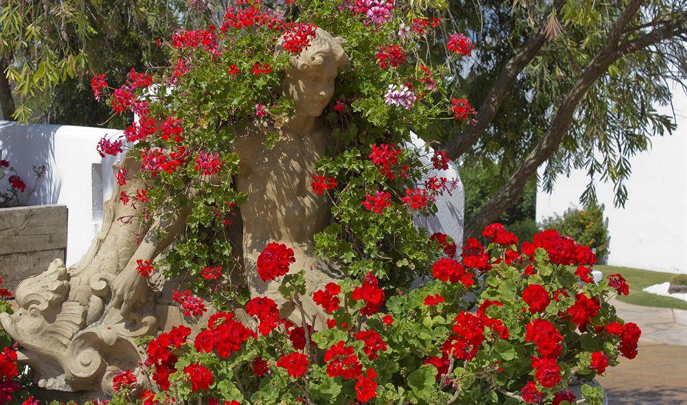 מלון קוניל דה לה פרונטרה Fergus Conil Park מראה חיצוני תמונה